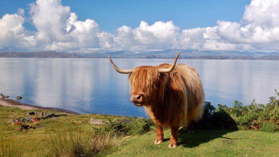 Kinnoch Lodge Inverness Ngoại thất bức ảnh